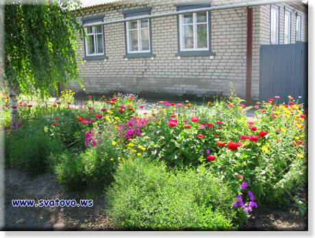 Фото цветников у дворов Сватовчан