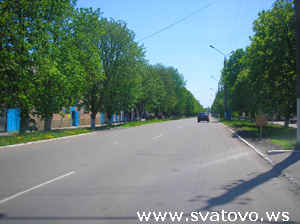 вид улицы Ленина, улица утопает в зелени каштанов города