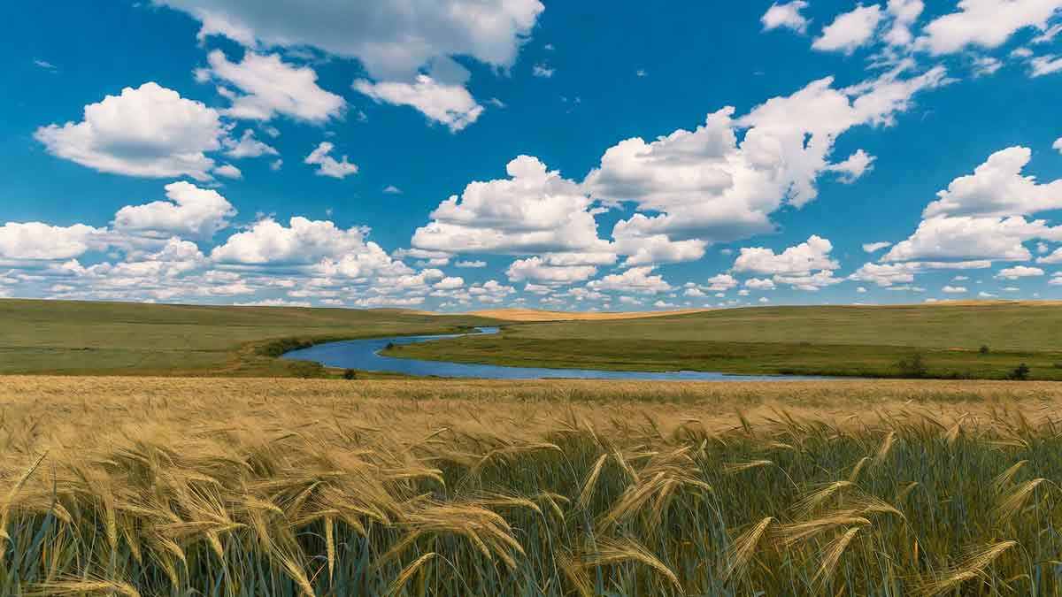 Мальовничий краєвид Луганщини: золоті поля, річка, зелені пагорби, безкрає небо