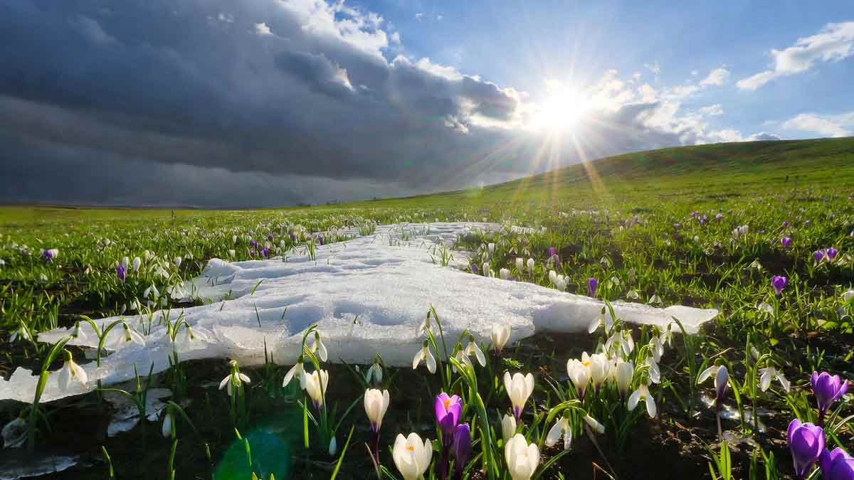 Весняні квіти пробиваються крізь талий сніг, сонячні промені розганяють хмари