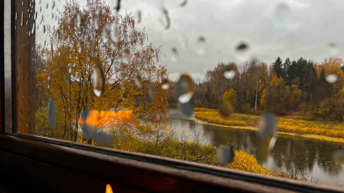 Вид з вікна на осіннє Сватове, краплі дощу на склі, золоті дерева, річка вдалині