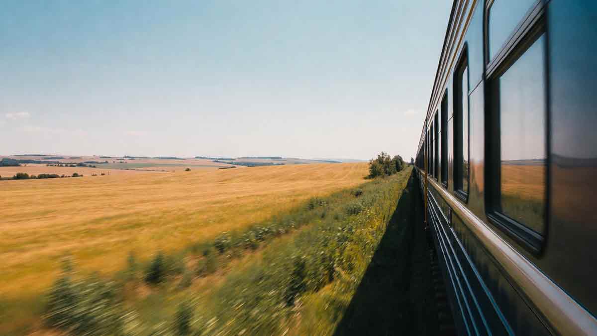 Поїзд їде через поля Сватівщини, золота пшениця, сталеві рейки, краєвид з вікна