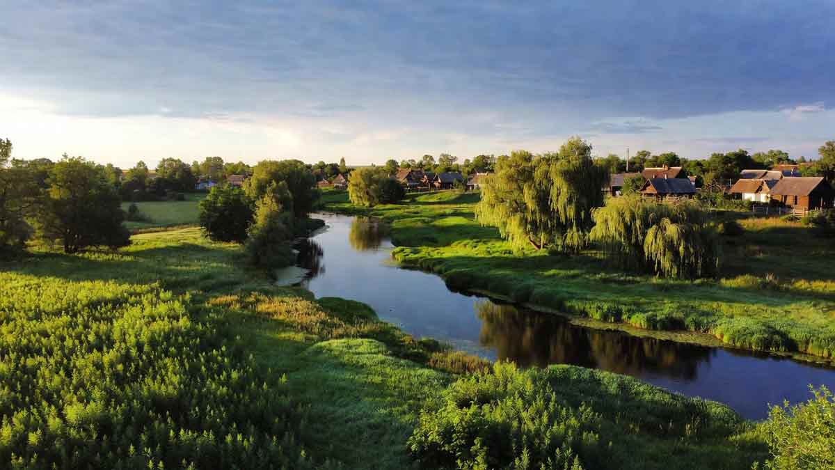 Мальовничий краєвид села Райгородськ, річка Красна, верби та сонячний день