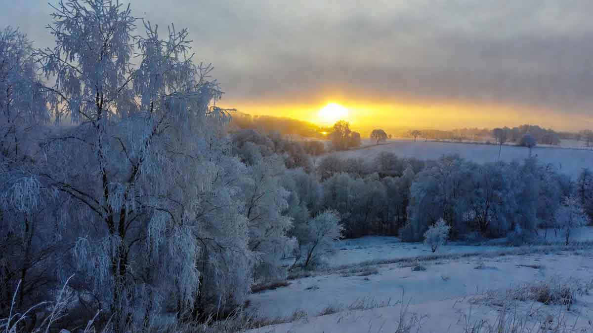 Зимовий пейзаж Сватового, засніжені поля, золотий світанок на горизонті