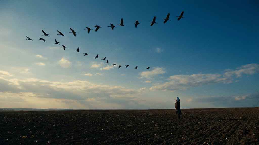 Клин журавлів у синьому небі, одинока мати на полі, осінній пейзаж