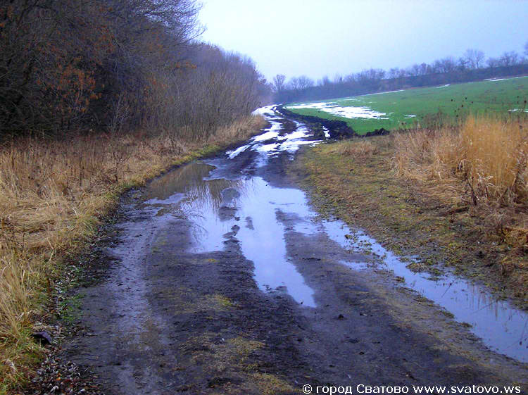 Фото природы зимой. Февральская грунтовая дорога в Сватовском районе. 2009 год