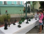 Выставка поделок народных умельцев на день города Сватово 2010 (2)