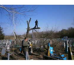 Прибирання застарілих дерев на кладовищі