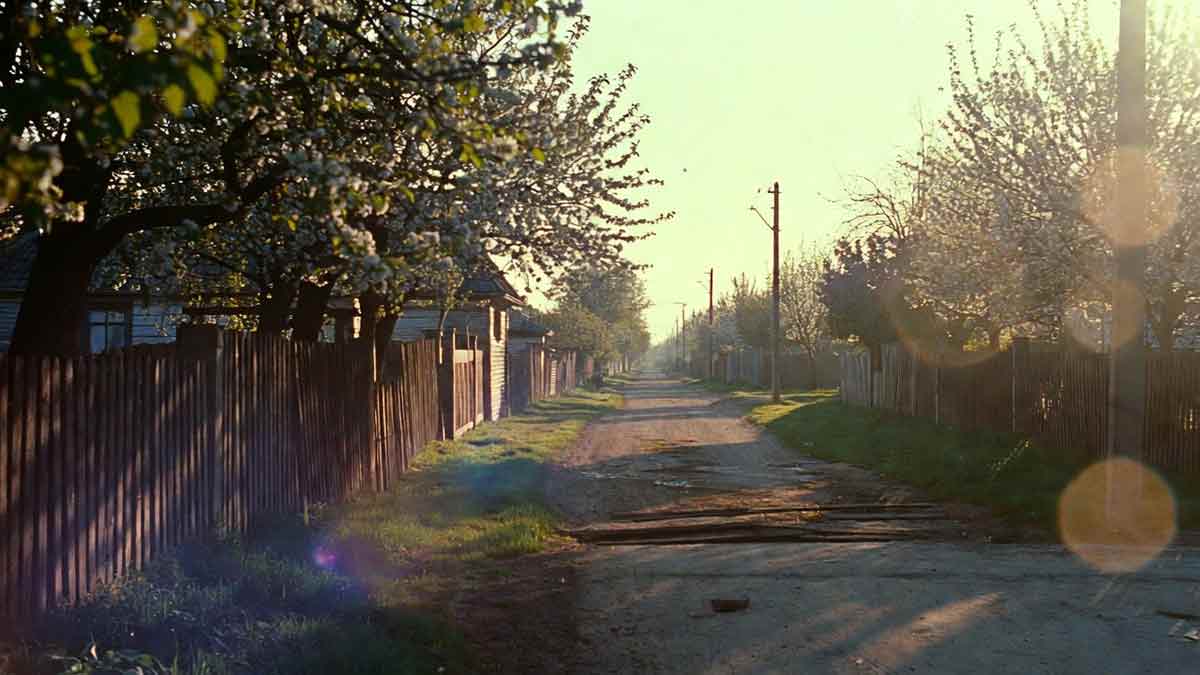 Райгородка, сільська вулиця, ностальгія, дитинство, українське село